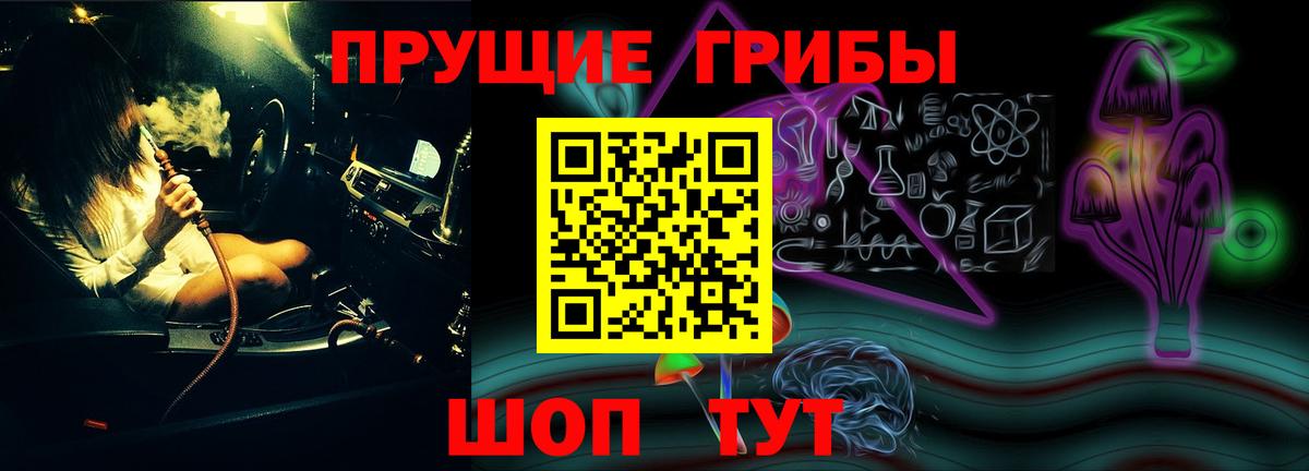Гурьевск  Галлюциногенные грибы MAGIC MUSHROOMS  Вход с VPN 
